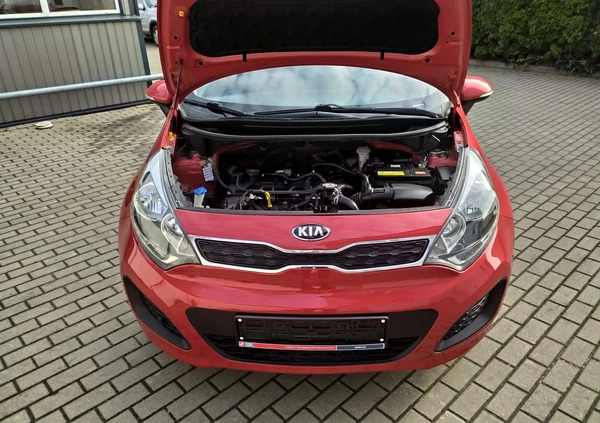 Kia Rio cena 29900 przebieg: 130000, rok produkcji 2015 z Skaryszew małe 232